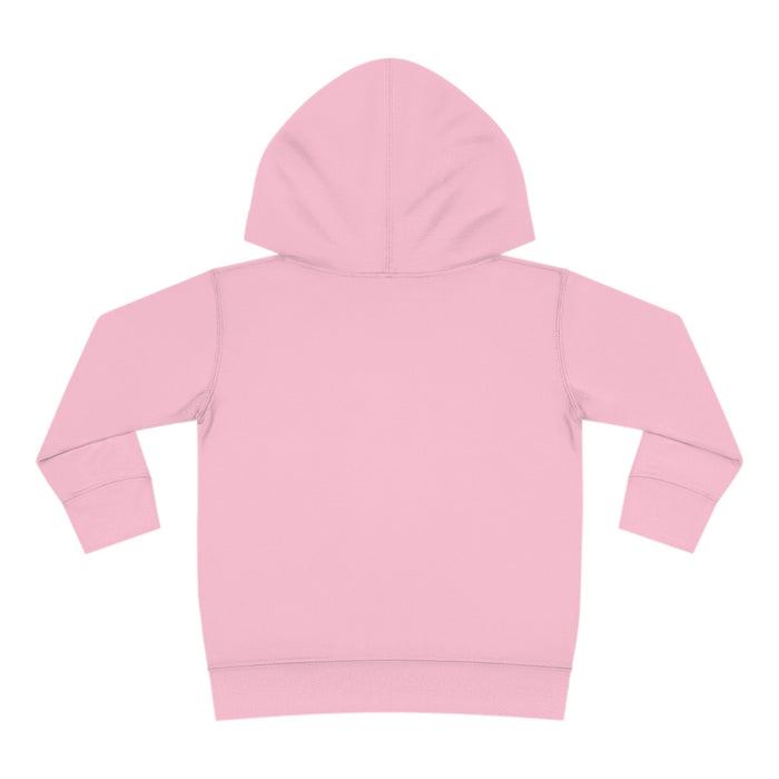 Paris Toddler Hoodie, Fleece Pullover, Cozy Toddler Hoodie, Warm Hooded Top, Soft Fleece Hoodie, Trendy Toddler Fashion,